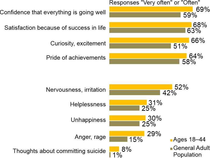 Figure 1. How often in the past year have you experienced the following feelings?