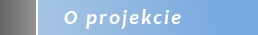 Projekt