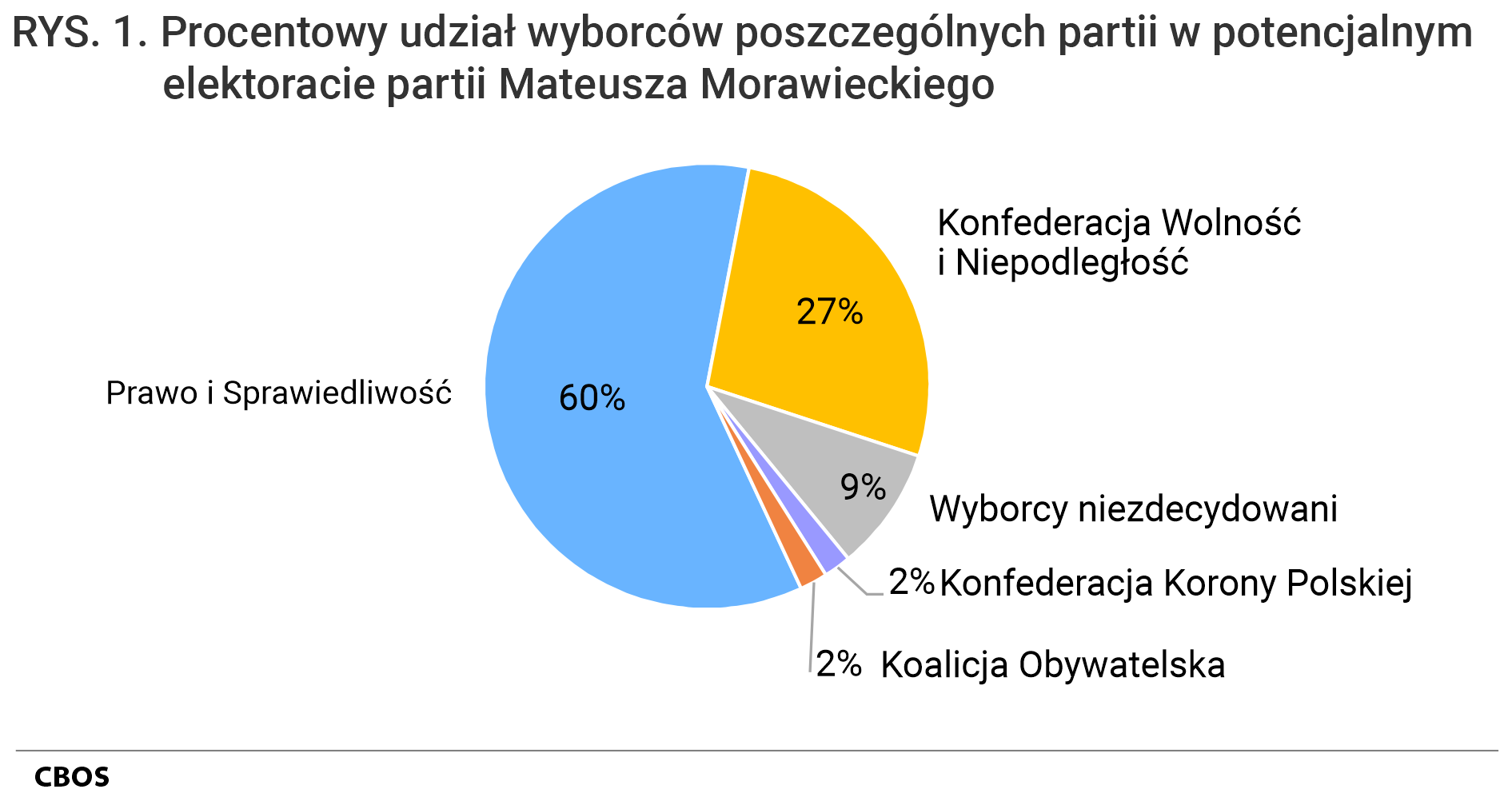 Rysunek 1. Wykres kołowy. Procentowy udział wyborców poszczególnych partii w potencjalnym elektoracie partii Mateusza Morawieckiego